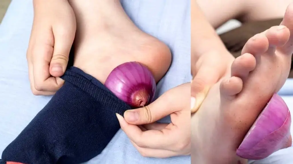 amazing health benefits of onions